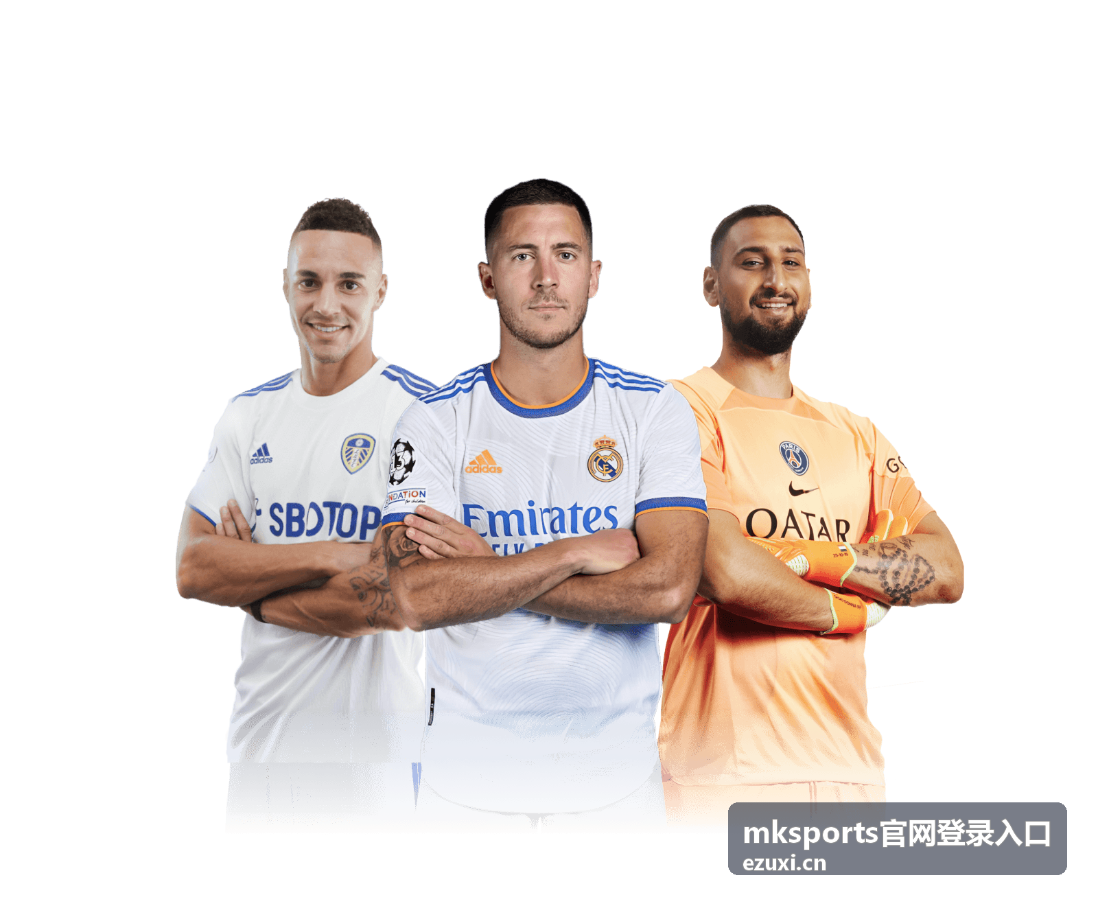 mksports官网登录入口验证信息未收到时的处理顺序配图