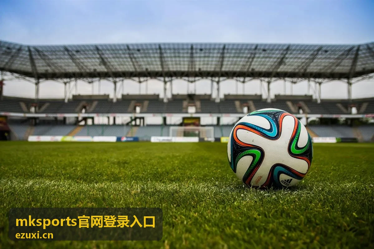 mksports官网登录入口地址保存方式说明配图